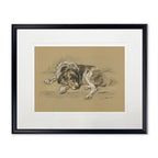 Sketched Dog Print in Black Frame - Che Cose Belle