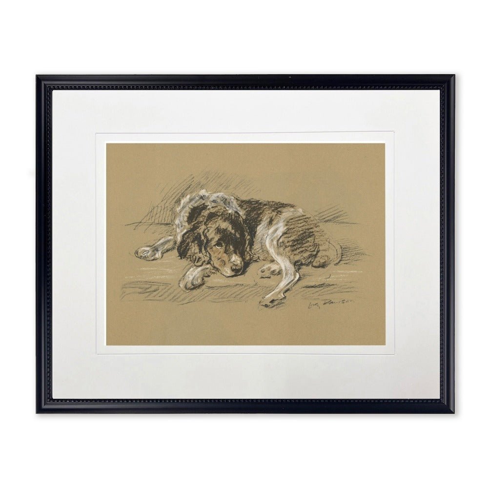 Sketched Dog Print in Black Frame - Che Cose Belle