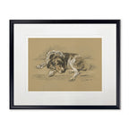 Sketched Dog Print in Black Frame - Che Cose Belle