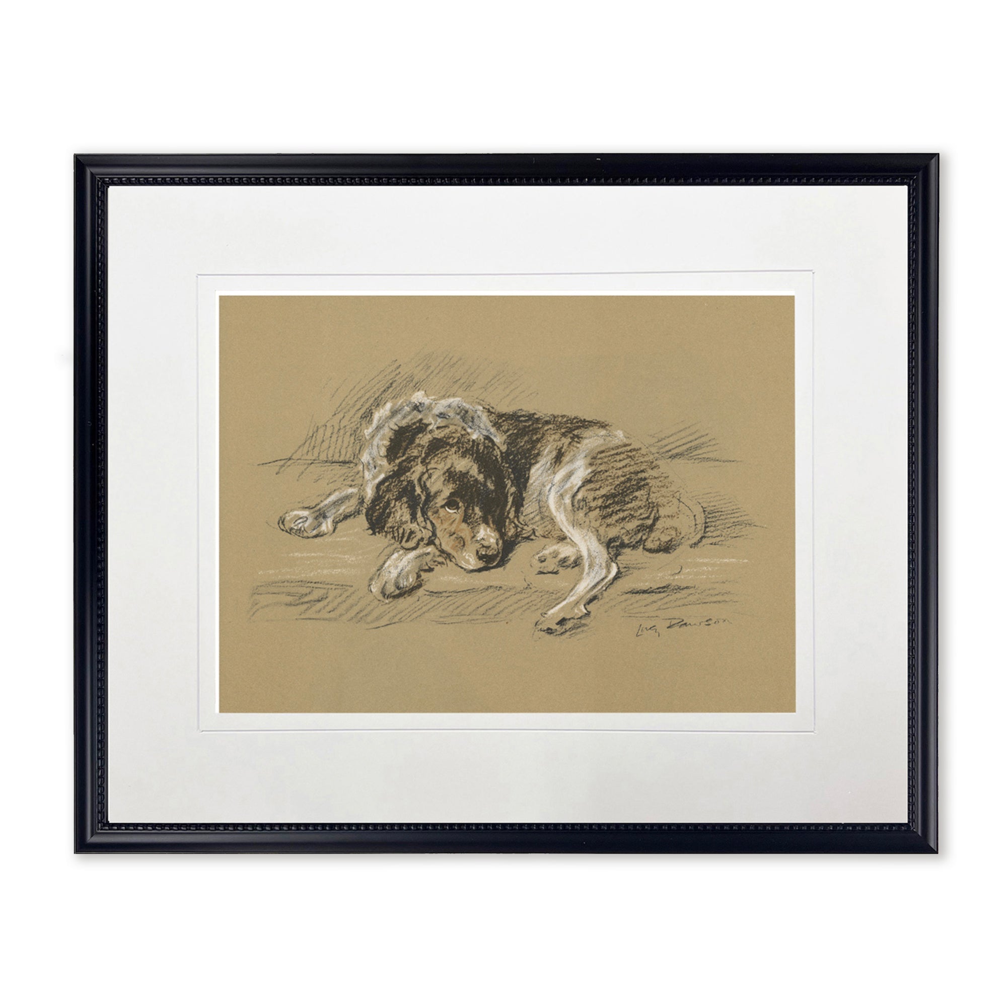 Sketched Dog Print in Black Frame - Che Cose Belle