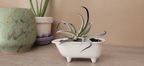 Small Bathtub Planter - Che Cose Belle