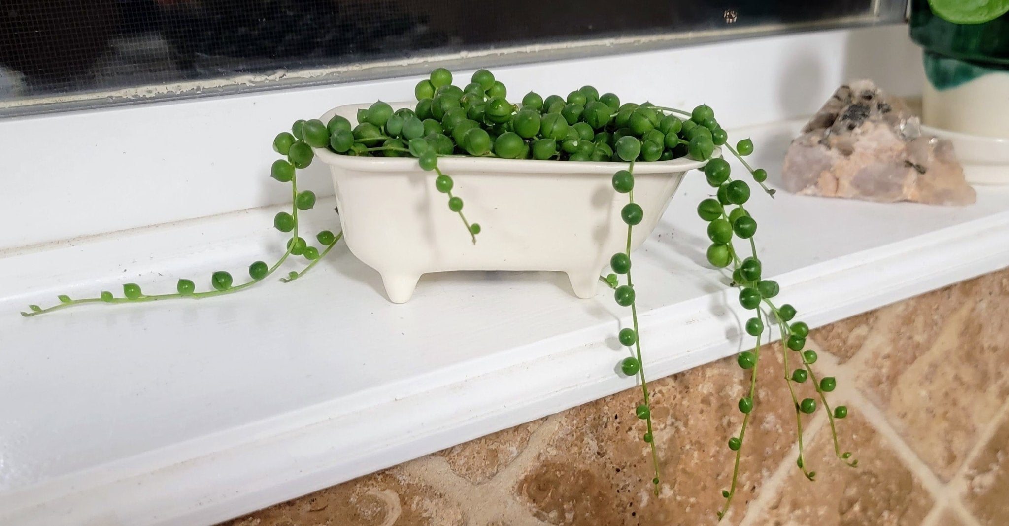 Small Bathtub Planter - Che Cose Belle