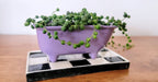 Small Bathtub Planter - Che Cose Belle