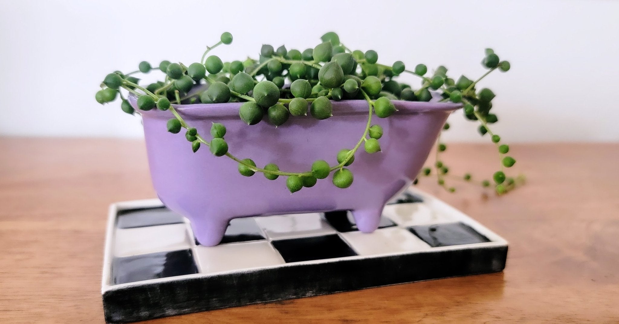 Small Bathtub Planter - Che Cose Belle