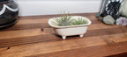 Small Bathtub Planter - Che Cose Belle