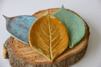 Small Leaf Dish - Che Cose Belle