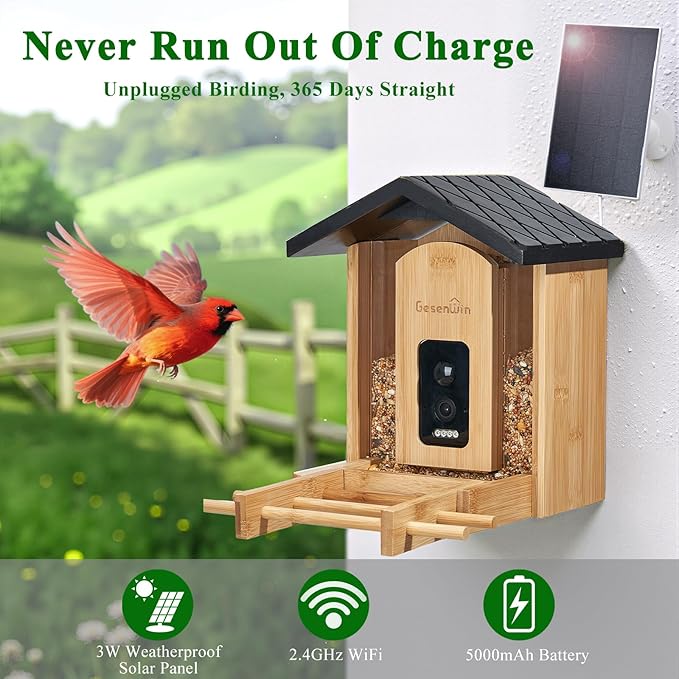 Smart Bird Feeder with Camera for Wild Birds - Identifies 11,000+ Species, Solar Panel Wireless Outdoors Bamboo Birdhouse with Cam, 2K HD Live Video & Instant Alerts - Bird Lover Gifts - Che Cose Belle