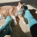 Socks that Save Cats - Che Cose Belle