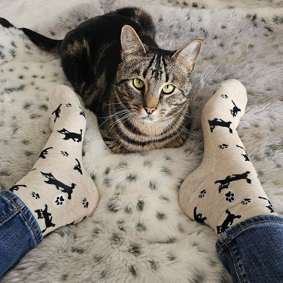 Socks that Save Cats - Che Cose Belle