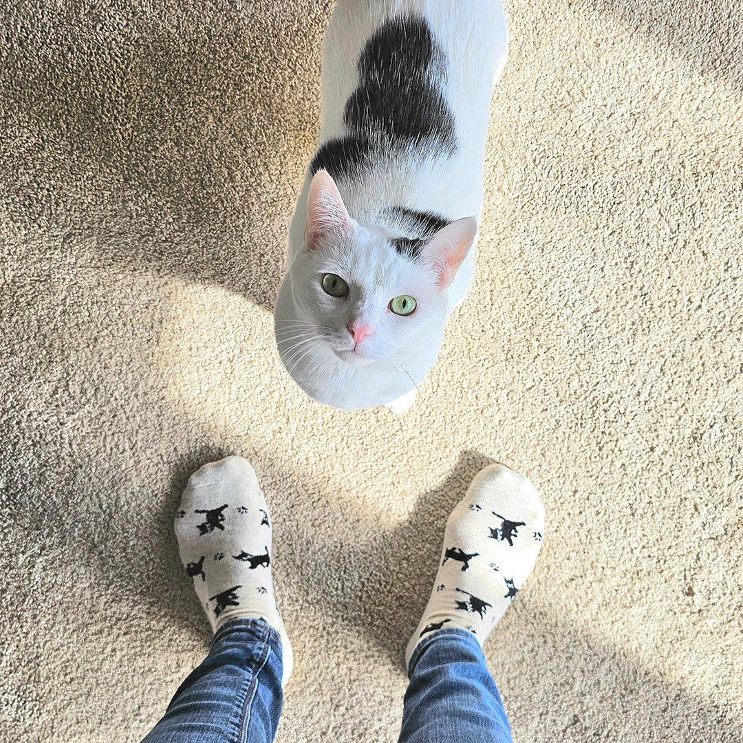 Socks that Save Cats - Che Cose Belle