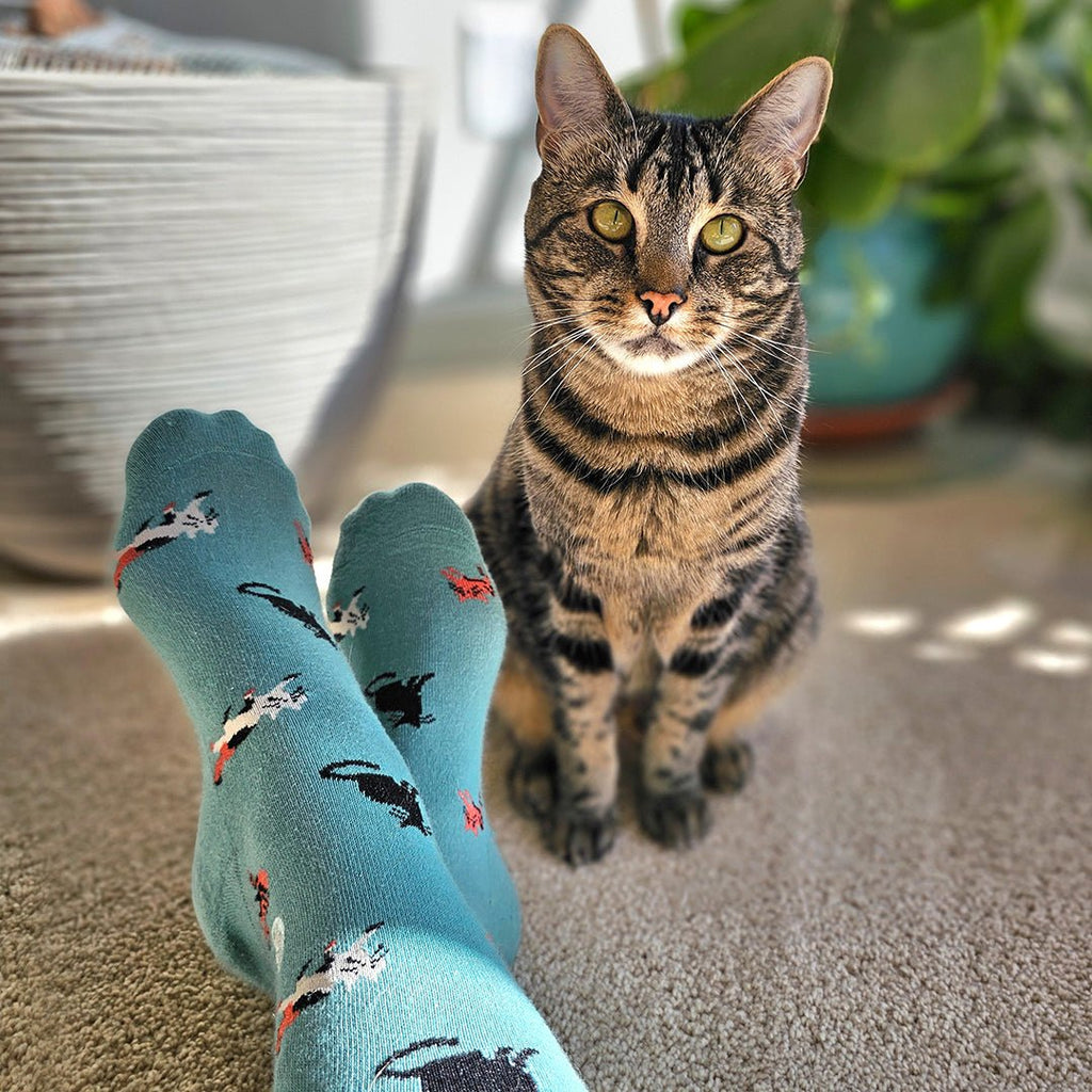 Socks that Save Cats - Che Cose Belle