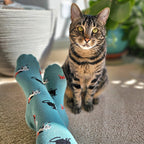Socks that Save Cats - Che Cose Belle