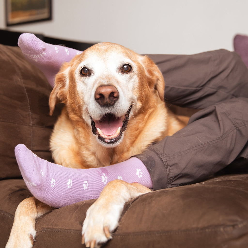 Socks that Save Dogs - Che Cose Belle