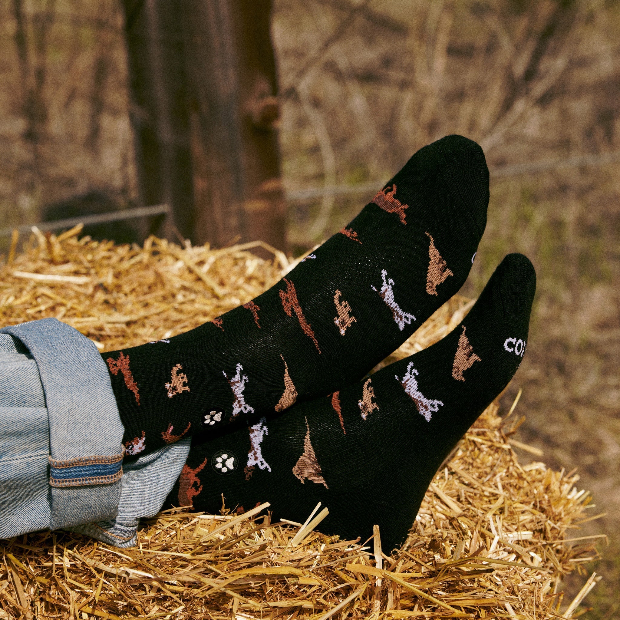 Socks that Save Dogs - Che Cose Belle