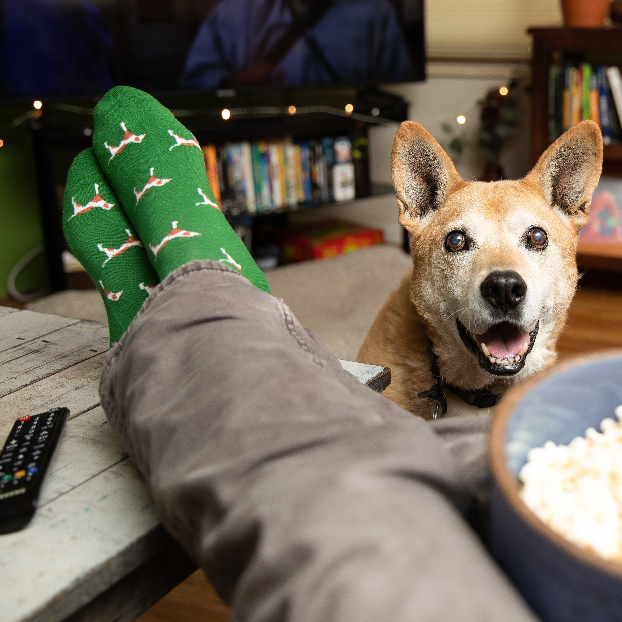 Socks that Save Dogs - Che Cose Belle