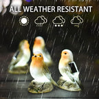 Solar Garden Outdoor Statues Bird Lights, Cute Birds Garden Decor for Outside, Christmas Birthday Gifts for Women, Unique Mother Grandma Housewarming Gifts and Yard Decoration - Che Cose Belle