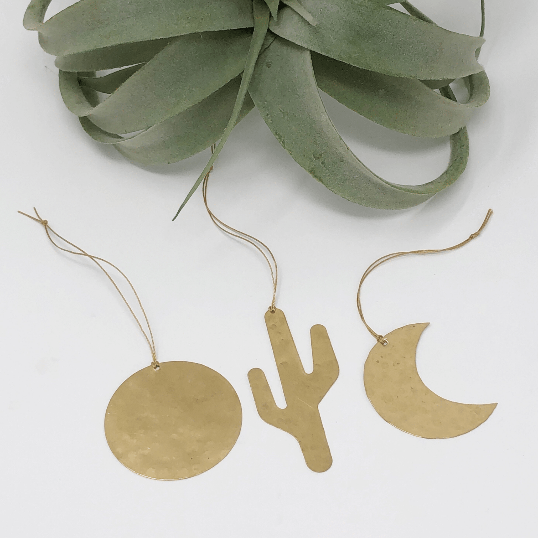 Sonoran Ornament Set - Che Cose Belle
