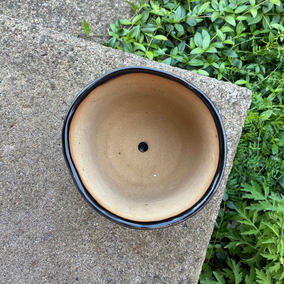 Space Dog Farmhouse Planter with Saucer - Che Cose Belle