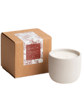 Spiced Cider Cement Candle - Che Cose Belle