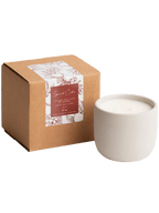 Spiced Cider Cement Candle - Che Cose Belle