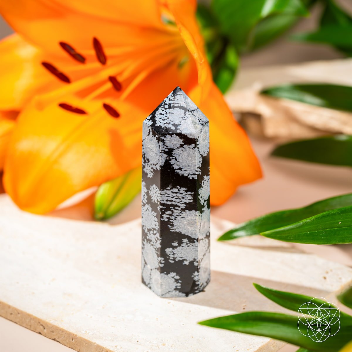 Spiritual Bodyguard - Snowflake Obsidian Point - Che Cose Belle