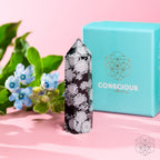 Spiritual Bodyguard - Snowflake Obsidian Point - Che Cose Belle