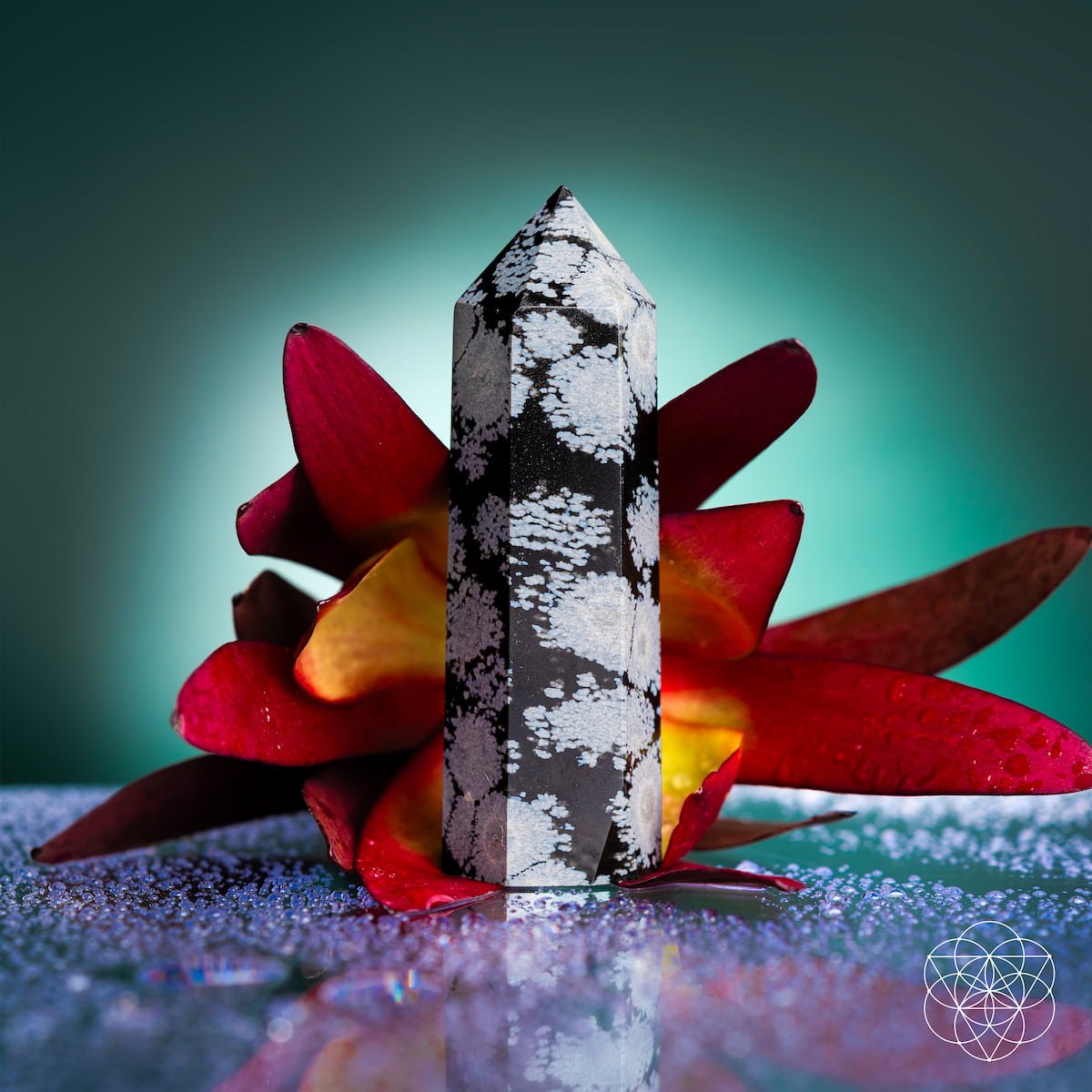 Spiritual Bodyguard - Snowflake Obsidian Point - Che Cose Belle