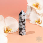 Spiritual Bodyguard - Snowflake Obsidian Point - Che Cose Belle
