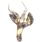 Springbok Animal Mask - Recycled Metal Wall Art - Che Cose Belle