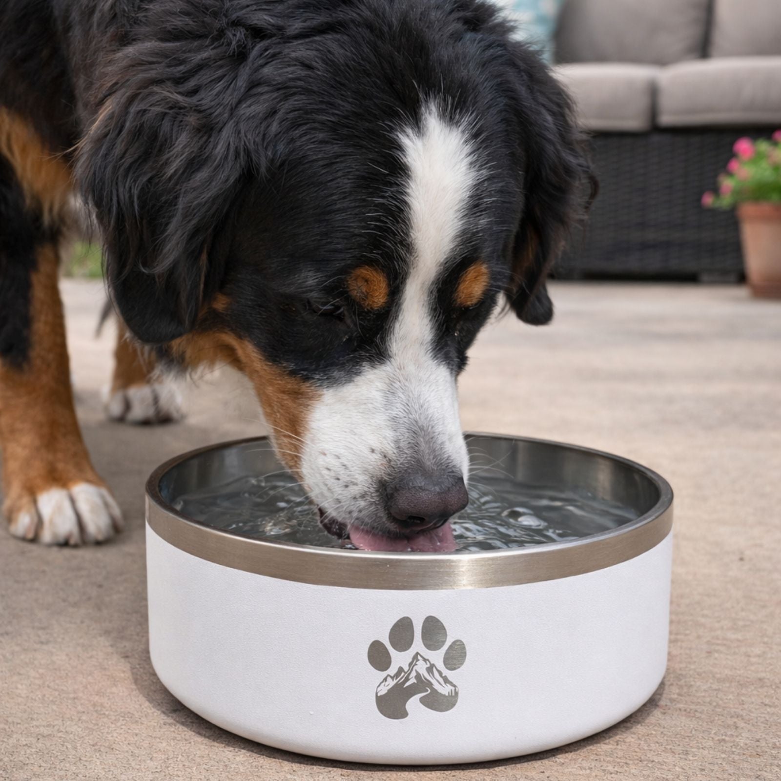 Stainless Steel Feeder Bowl - Che Cose Belle