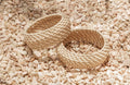 Statement Flat Weave Bangle - Che Cose Belle