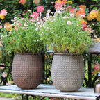 StoneNest Textured Planter - Che Cose Belle
