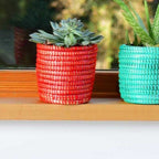 Succulent Basket Planter - Che Cose Belle