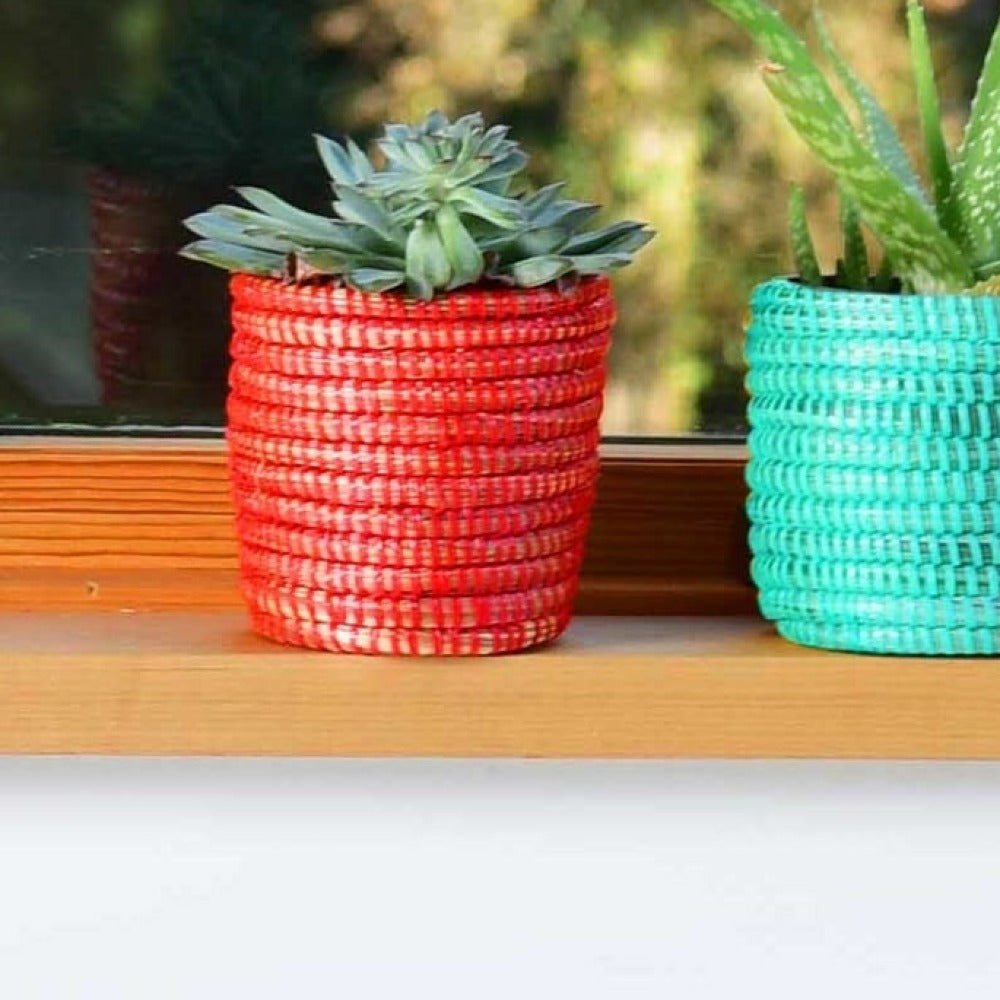 Succulent Basket Planter - Che Cose Belle