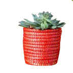 Succulent Basket Planter - Che Cose Belle