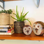Succulent Basket Planter - Che Cose Belle