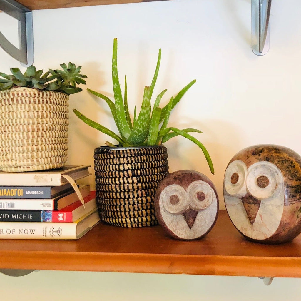 Succulent Basket Planter - Che Cose Belle