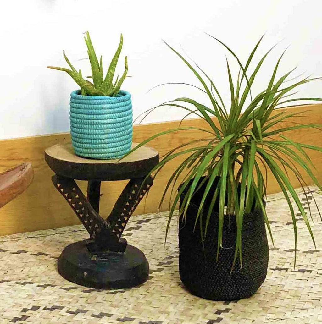 Succulent Basket Planter - Che Cose Belle