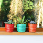 Succulent Basket Planter - Che Cose Belle