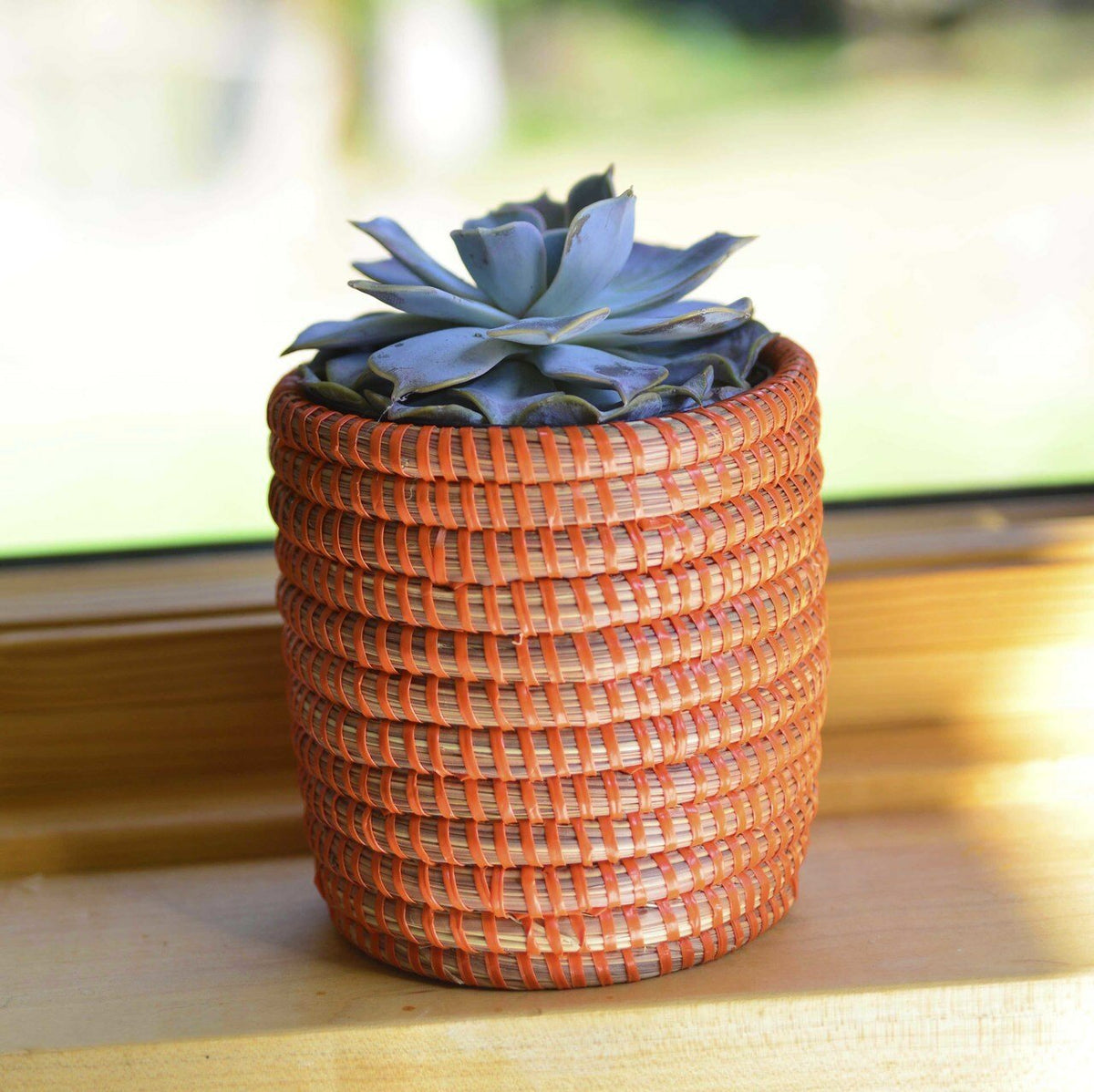 Succulent Basket Planter - Che Cose Belle