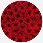Supreme Black Box | Red Roses - Che Cose Belle