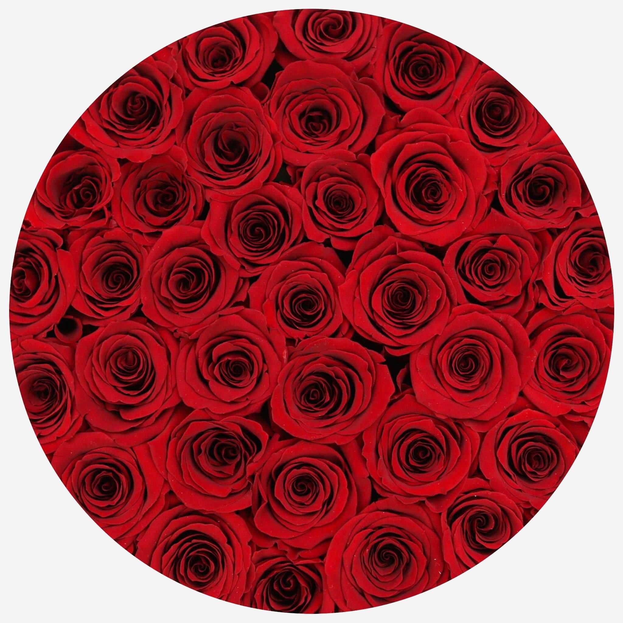 Supreme Black Box | Red Roses - Che Cose Belle