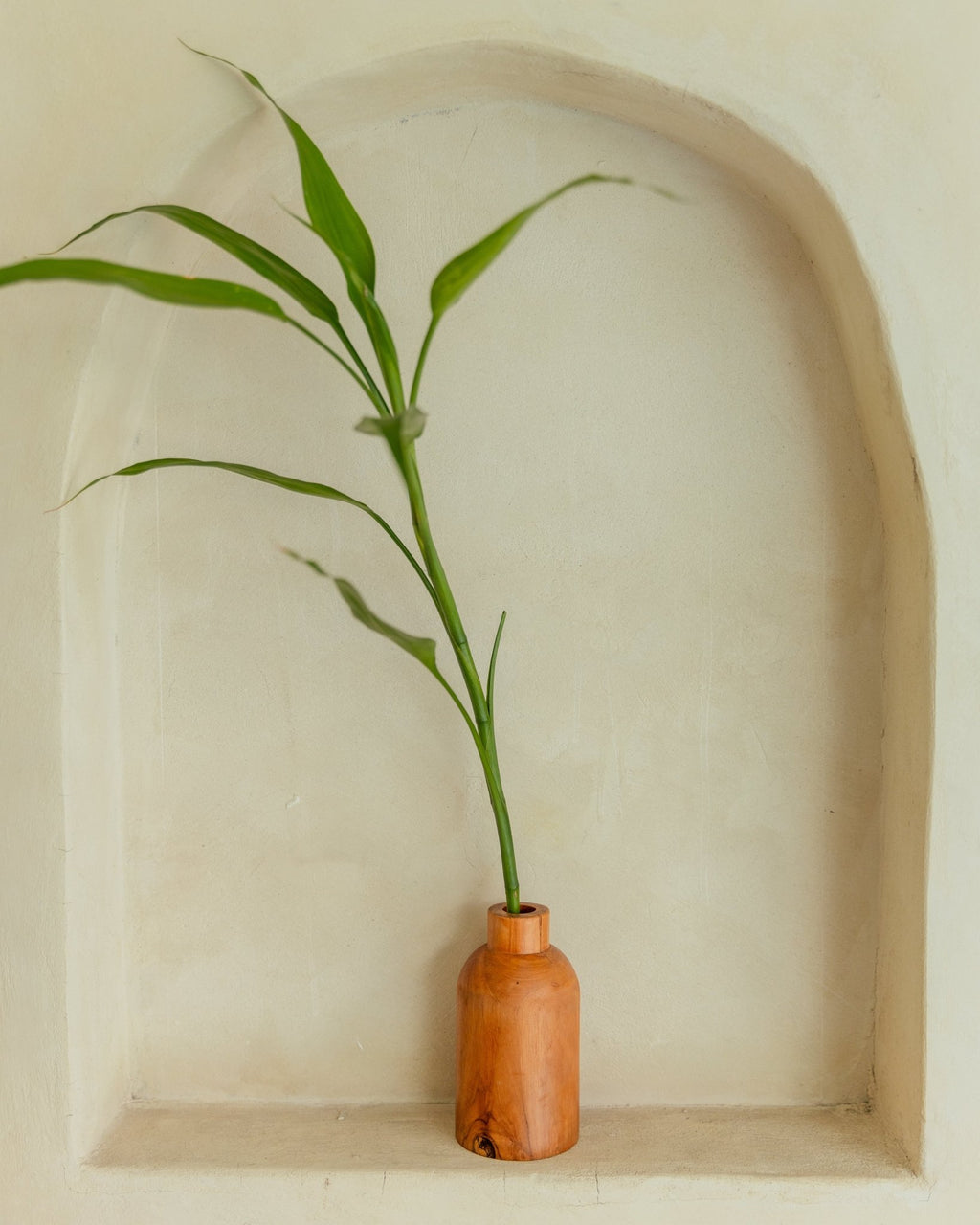 Teak Flower Vases - Che Cose Belle