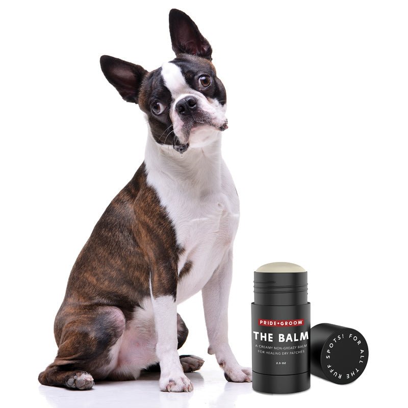 THE BALM Healing Pet Balm — Natural Paw & Nose Moisturizing Balm for Dogs & Cats - Che Cose Belle