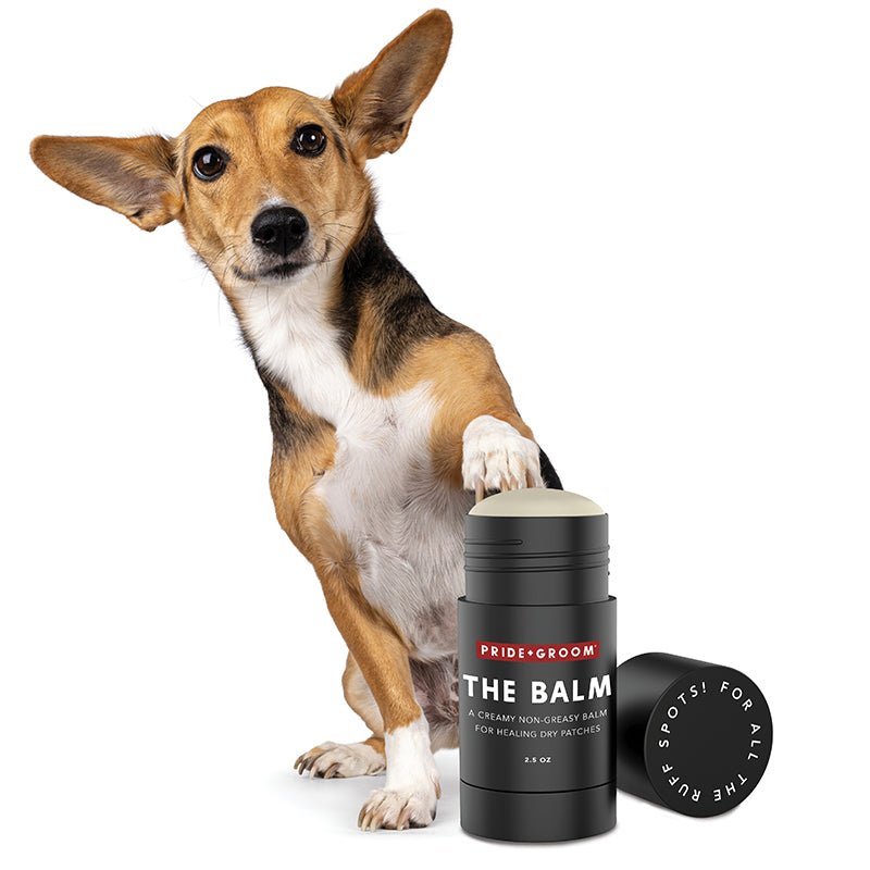 THE BALM Healing Pet Balm — Natural Paw & Nose Moisturizing Balm for Dogs & Cats - Che Cose Belle