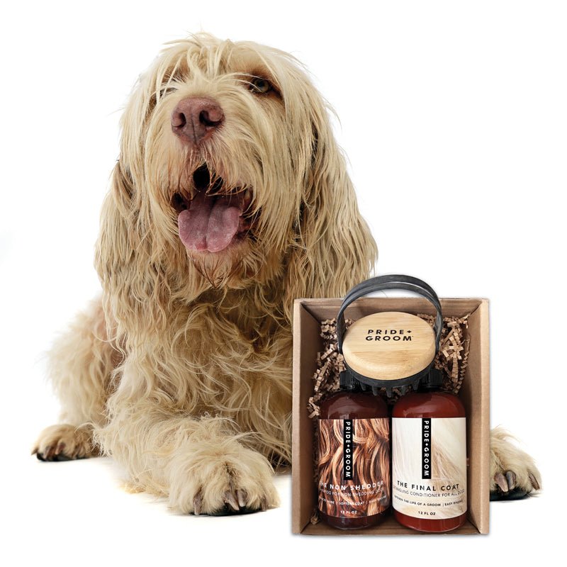 THE BATH BRUSH Dual - Use Silicone Grooming Brush — De - Shedding, Massaging & Waterproof Tool for Dogs - Che Cose Belle
