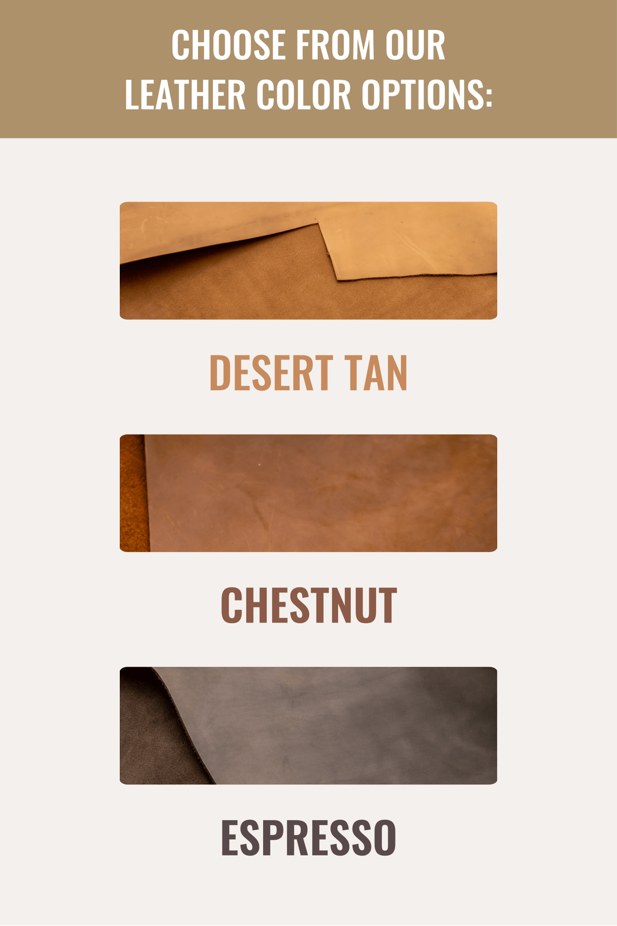 The Bifold - Che Cose Belle