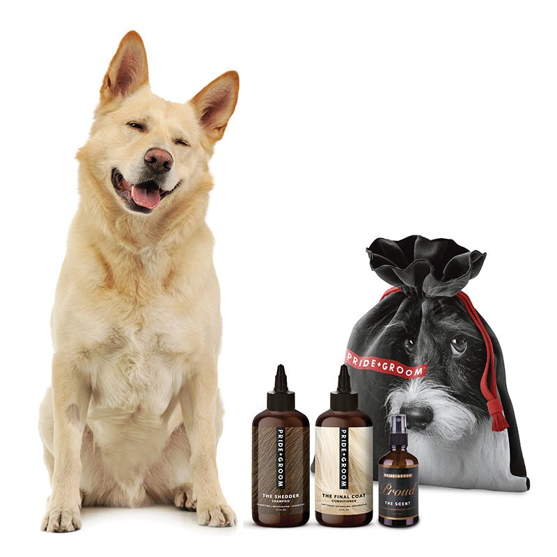 THE BIG DELUXE DOGGY BAG — Luxury Dog Grooming Kit with 16oz Coat - Specific Shampoo, Conditioner & Signature Scent - Che Cose Belle