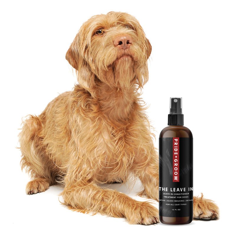 THE LEAVE IN Dog Detangling Leave in Spray — Detangling, Moisturizing & Conditioning Leave In Spray for Dogs - Che Cose Belle