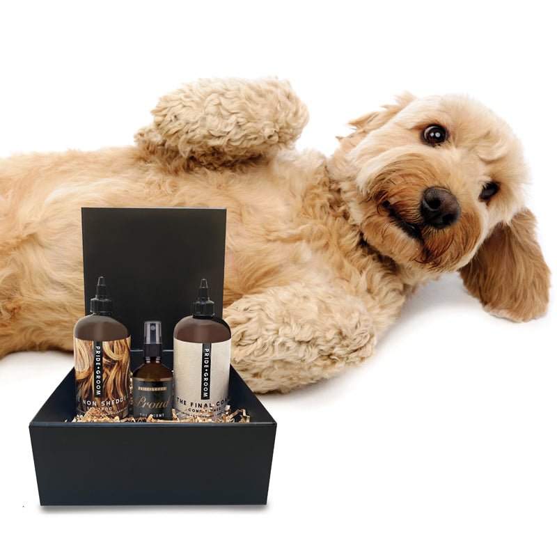 THE LUXE GIFT SET — High - Quality Dog Grooming Set with Coat - Specific Shampoo & Conditioner and Gift Box - Che Cose Belle